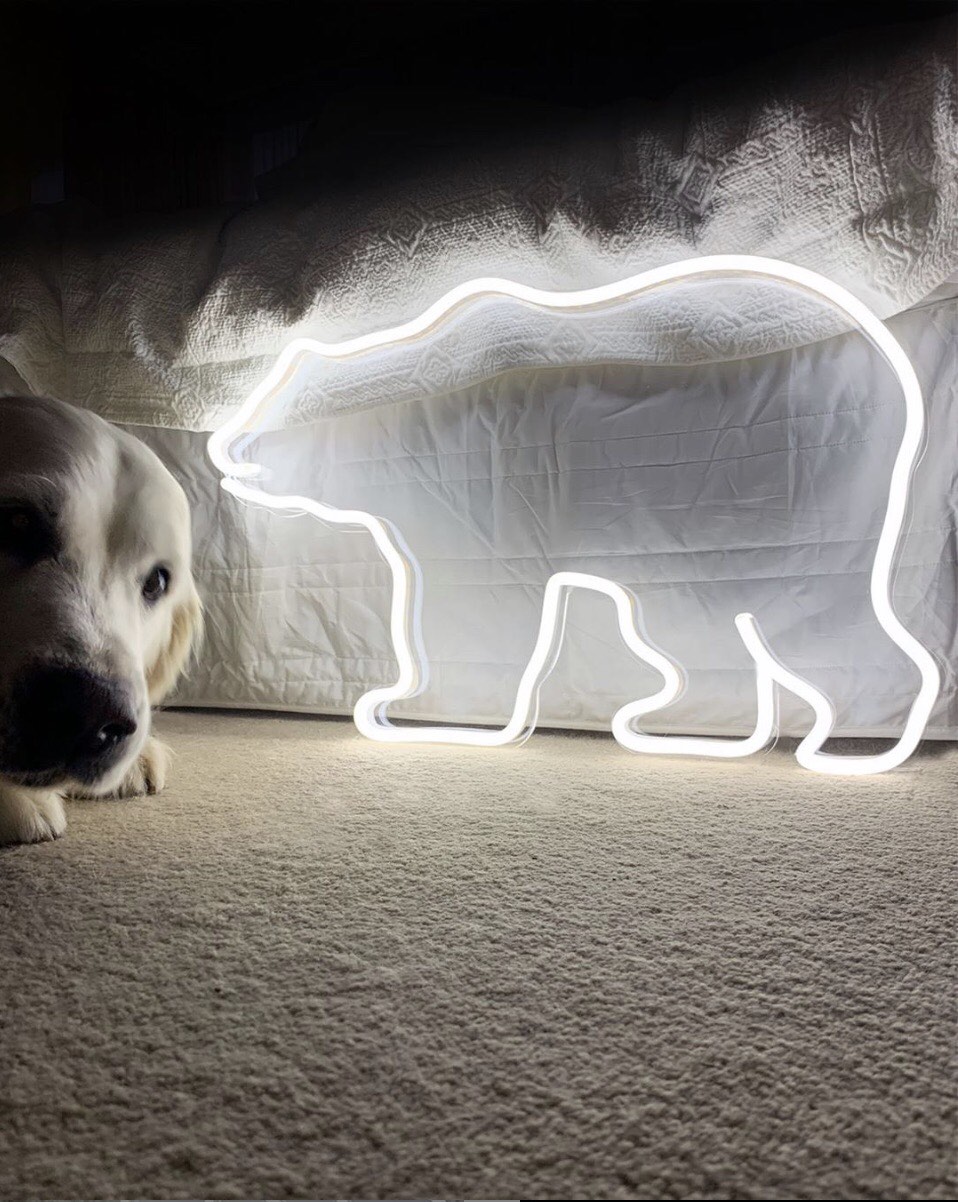 светодиодная вывеска под неон